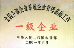 全國鄉(xiāng)鎮(zhèn)一級(jí)企業(yè)